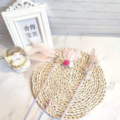 Παιχνίδι γάτας - ένα ραβδί με φτερά