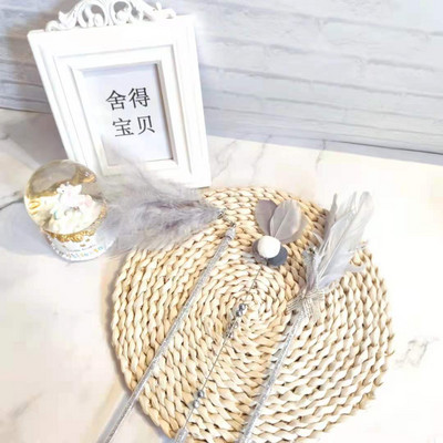 Παιχνίδι γάτας - ένα ραβδί με φτερά