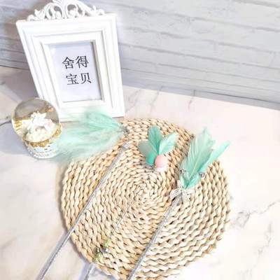 Παιχνίδι γάτας - ένα ραβδί με φτερά