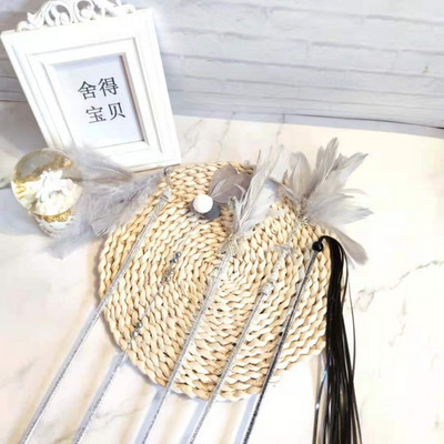 Παιχνίδι γάτας - ένα ραβδί με φτερά