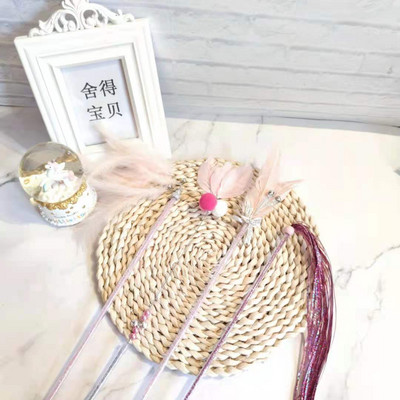 Παιχνίδι γάτας - ένα ραβδί με φτερά