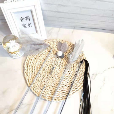 Παιχνίδι γάτας - ένα ραβδί με φτερά