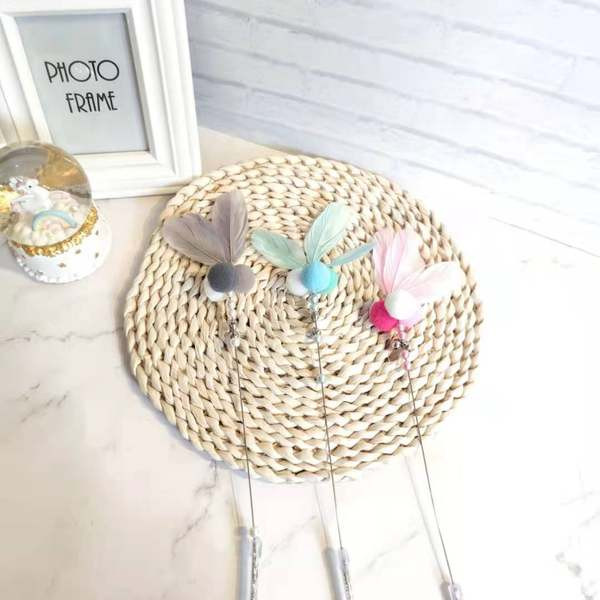 Παιχνίδι γάτας - ένα ραβδί με φτερά