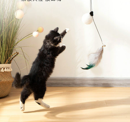 Rippuv kassimänguasi sulgedega nööril - uksekinnitus