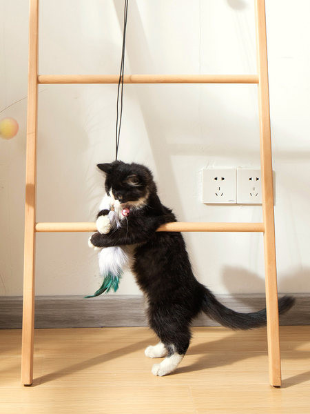 Rippuv kassimänguasi sulgedega nööril - uksekinnitus