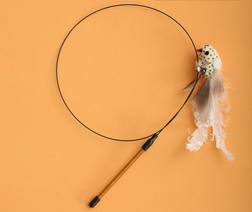 Παιχνίδι γάτας με φτερά