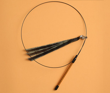 Παιχνίδι γάτας με φτερά