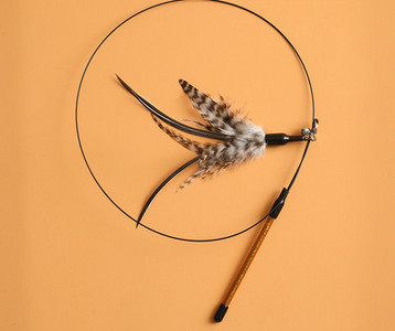 Παιχνίδι γάτας με φτερά