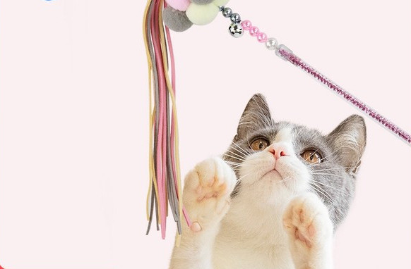 Καλάμι ψαρέματος παιχνίδι γάτας σε δύο μοντέλα