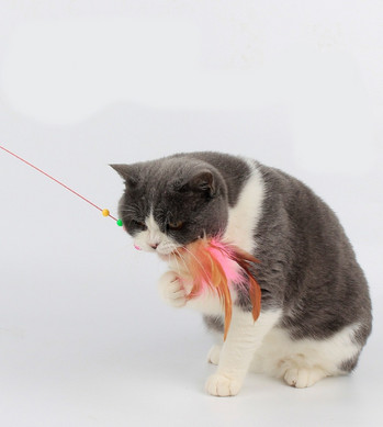 Καλάμι για παιχνίδι γάτας με διαφορετικά μενταγιόν