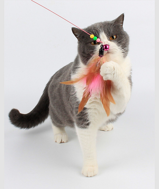 Καλάμι για παιχνίδι γάτας με διαφορετικά μενταγιόν