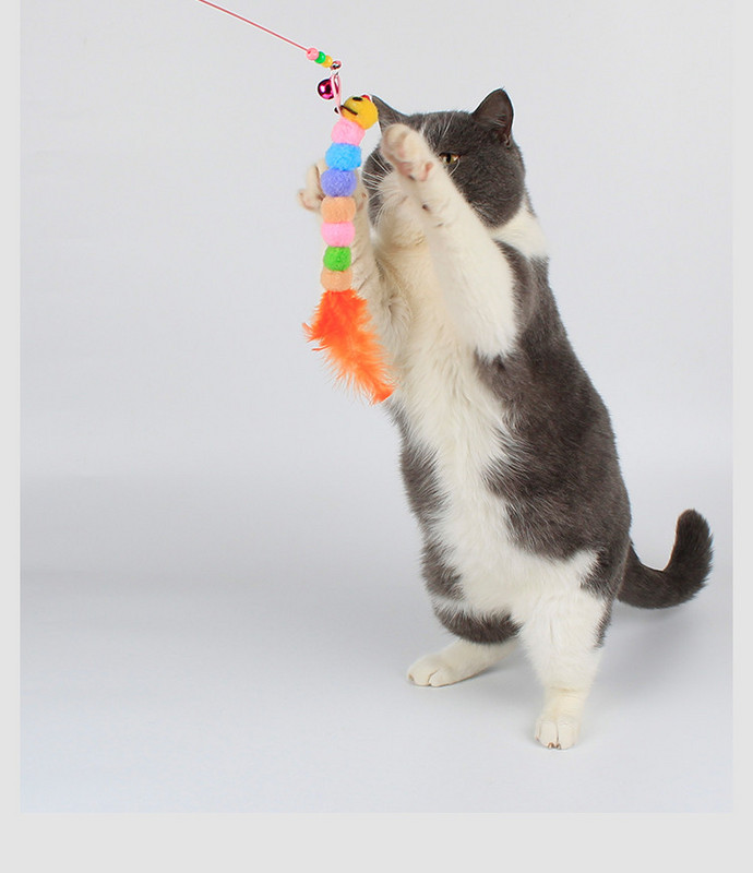 Καλάμι για παιχνίδι γάτας με διαφορετικά μενταγιόν