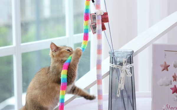 Omida de jucărie pentru pisici