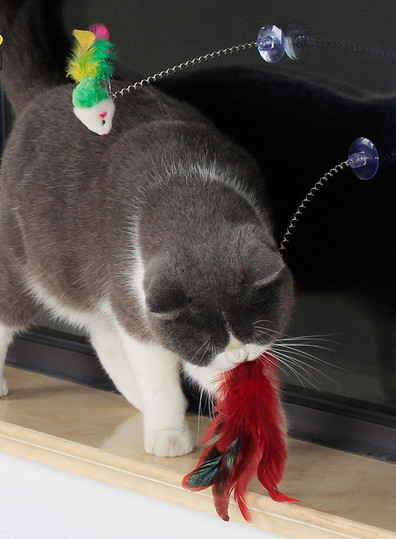 Jucărie pentru pisici cu pene și culori diferite