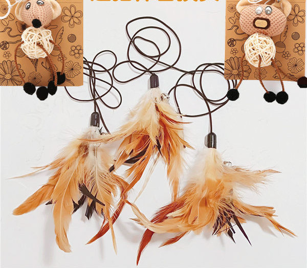 Jucărie de pisică cu pene de pisică