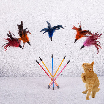 Παιχνίδι γάτας με φτερά - πολλά χρώματα