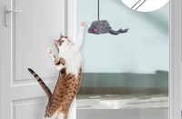 Kačių žaislų virvė