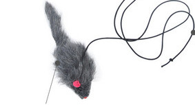 Kačių žaislų virvė