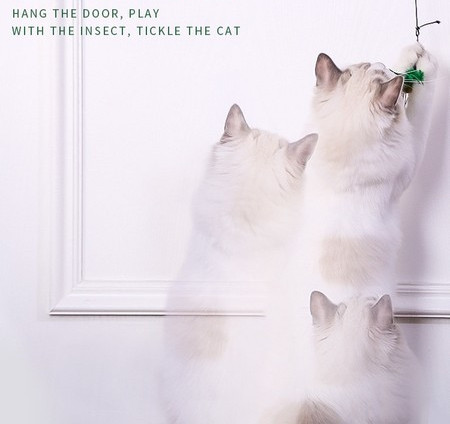 Diferite modele de undiță tip jucărie pentru pisici