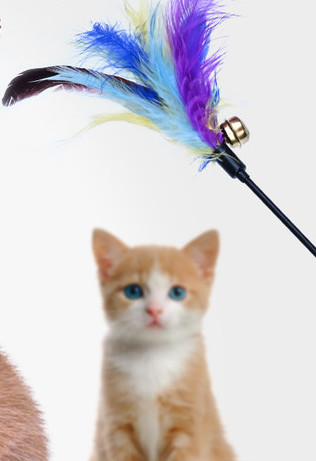 Băț de jucărie cu pandantiv pene colorate pentru pisici