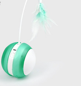 Elektriline sulgedega kassimänguasi