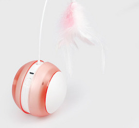 Elektriline sulgedega kassimänguasi