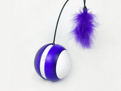 Elektriline sulgedega kassimänguasi