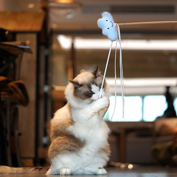 Παιχνίδι με καλάμι ψαρέματος γάτας - τρία μοντέλα