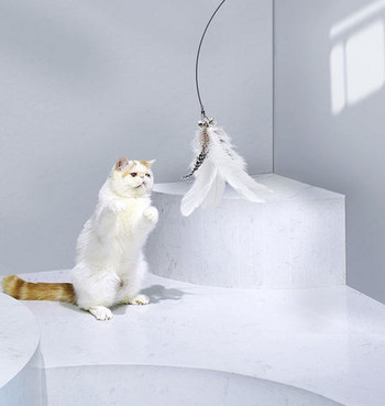 Καλάμι ψαρέματος τύπου παιχνίδι γάτας με αυτοκόλλητη βάση