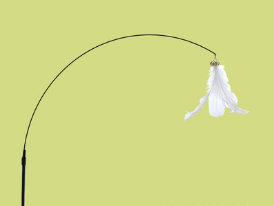 Undiță de pescuit tip jucărie pisică cu suport autoadeziv