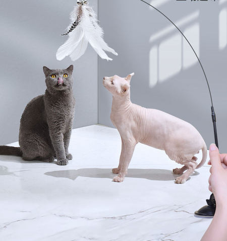 Undiță de pescuit tip jucărie pisică cu suport autoadeziv