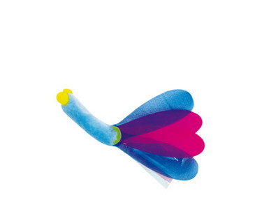 Erinevates mudelites mänguõng kassidele