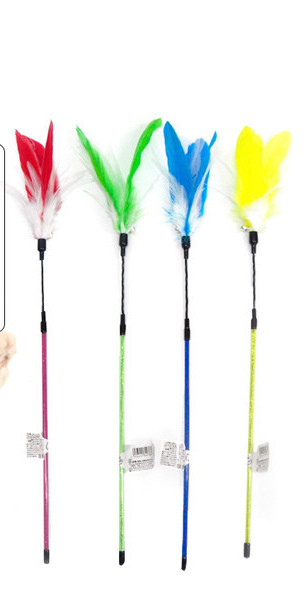 Četru krāsu nūja kaķiem