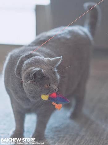 Καλάμι ψαρέματος τύπου παιχνίδι γάτας - διαφορετικά μοντέλα