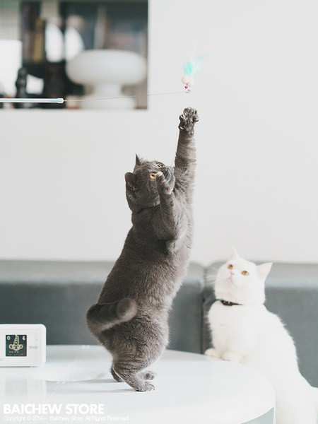 Undiță tip jucărie pisică - diferite modele