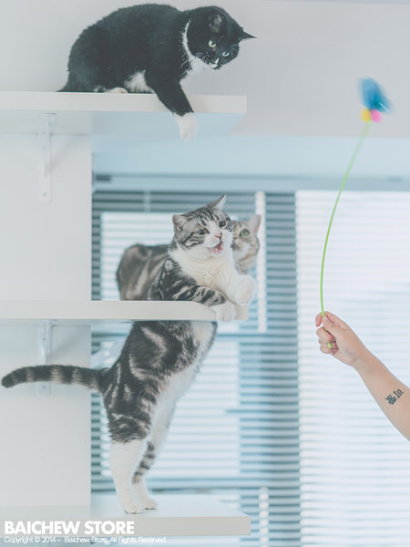 Undiță tip jucărie pisică - diferite modele