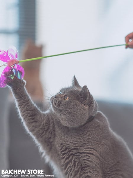 Undiță tip jucărie pisică - diferite modele