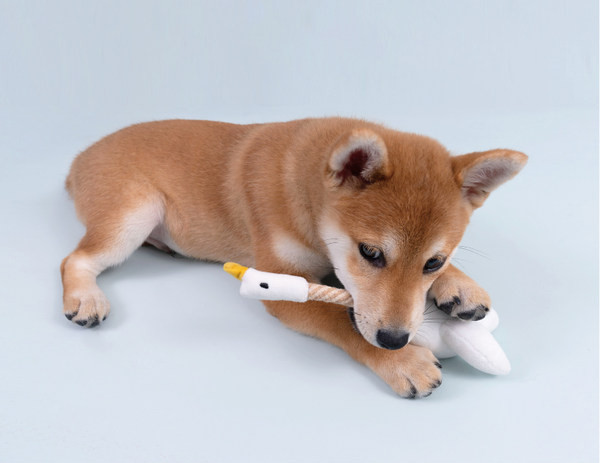 Igračka štap za pecanje za mačke i pse