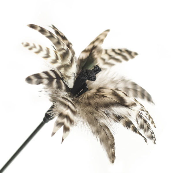 Šipka za mačke s perjem