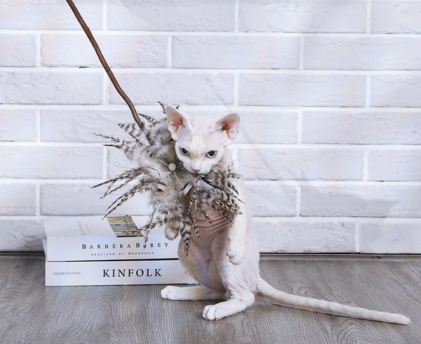 Igračka mačka s perom - tri modela