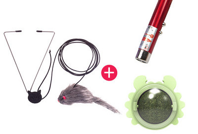 Παιχνίδι γάτας με μενταγιόν