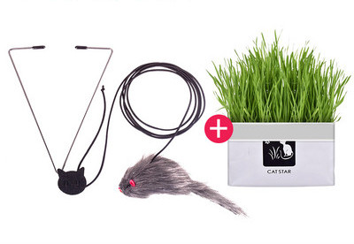 Παιχνίδι γάτας με μενταγιόν