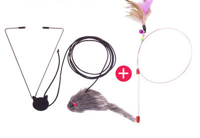 Παιχνίδι γάτας με μενταγιόν