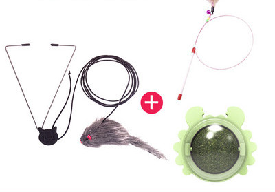 Παιχνίδι γάτας με μενταγιόν