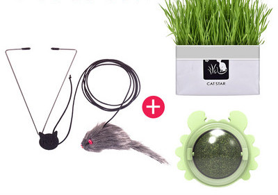 Παιχνίδι γάτας με μενταγιόν