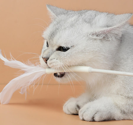 Undiță de pescuit jucărie cu pisici - trei modele