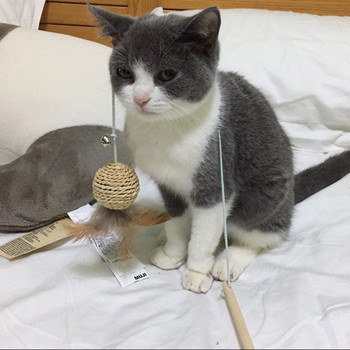 Καλάμι ψαρέματος παιχνίδι γάτας με διάφορα μενταγιόν και καμπάνα