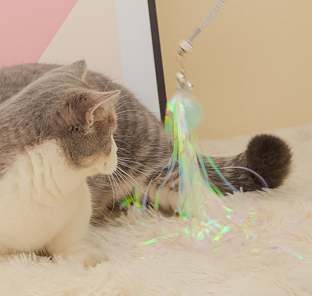 Παιχνίδι για γάτες με μενταγιόν