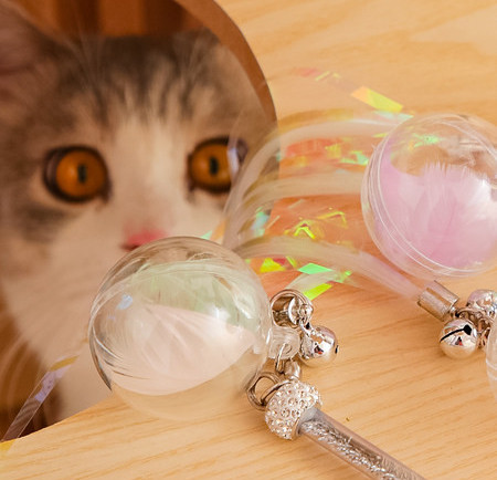 Παιχνίδι για γάτες με μενταγιόν