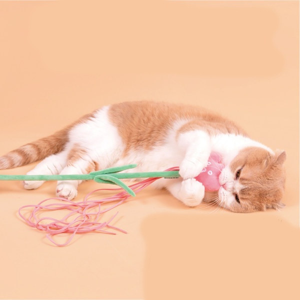 Kačių meškerės žaislas su gėlių pakabuku